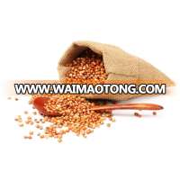 Best Quality glutinous Red Sorghum for Human And Animal Consumption