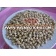 Origin Turkey Chickpeas 8mm