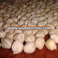 Kabuli Chickpeas (12mm)