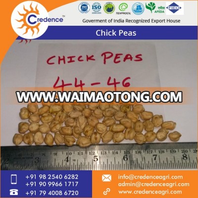 Indian Kabuli Chick Peas at Low Selling Price