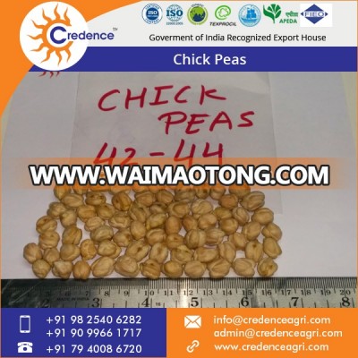 Indian Wholesale Kabuli Chickpeas at Reliable Market Price