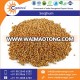 High Quality Gluten-Free Fresh White Sorghum