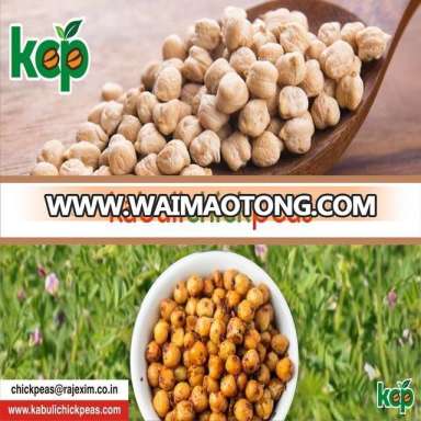 Quality Chickpeas With 11mm